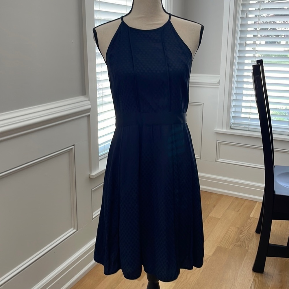Banana Republic Polka Dot Paneled Fit & Flare Dress